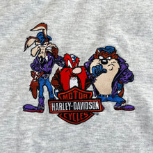 Load image into Gallery viewer, F- Vintage Harley Davidson Looney Tunes Taz/Coyote/Sam Embroidered Hoodie
