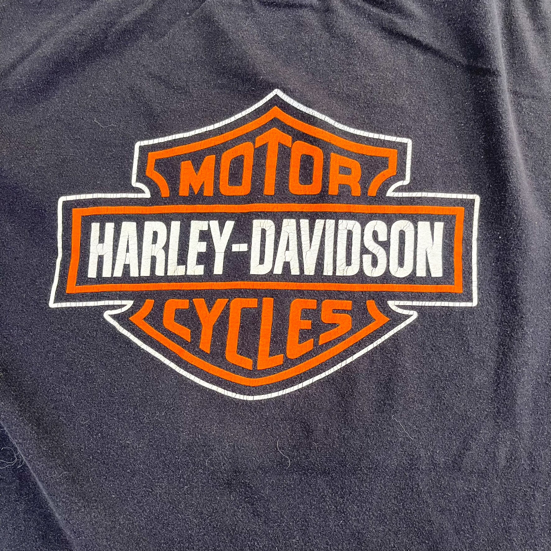 F- Vintage Harley Davidson Eagle & Logo Tee