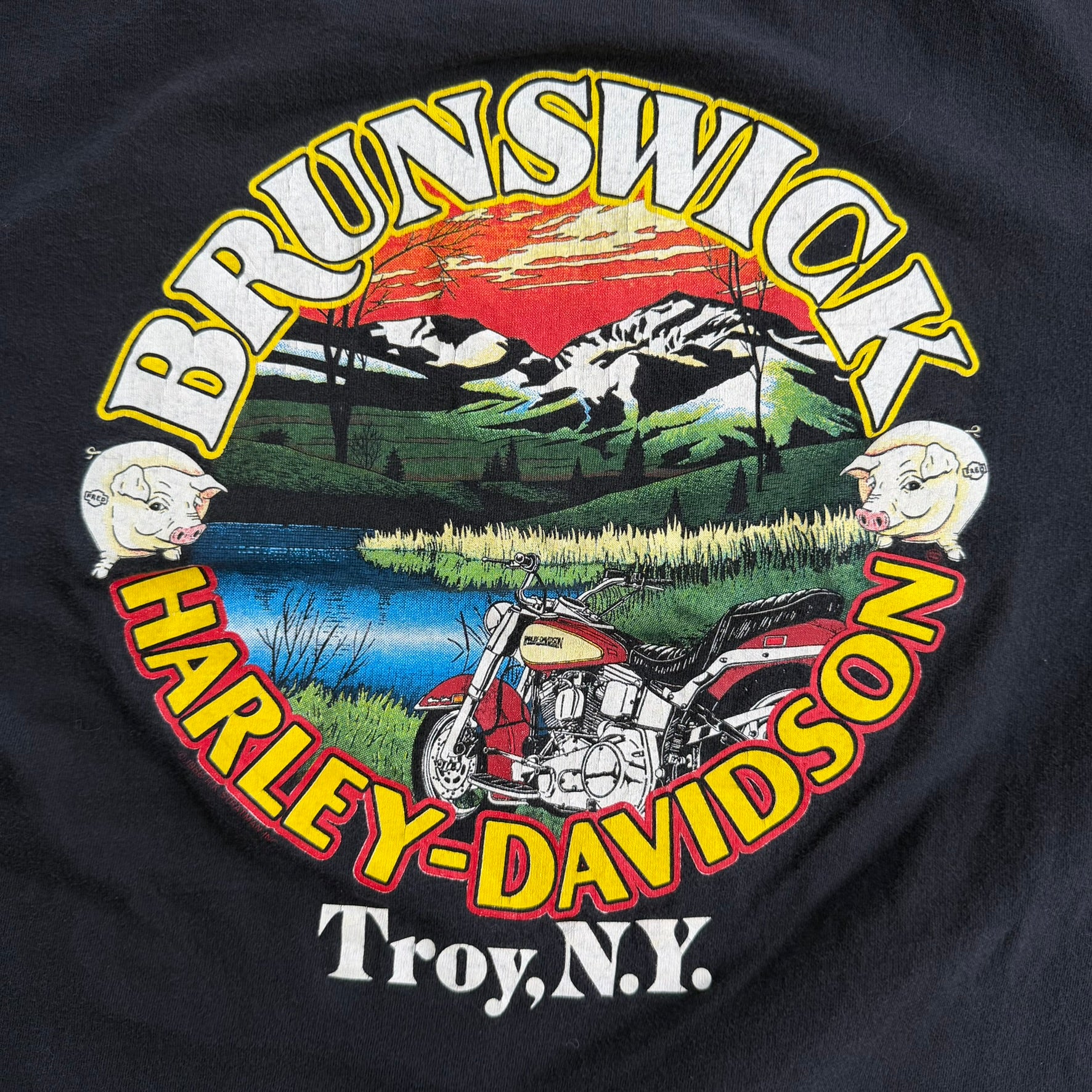 J- Vintage '95 Harley Davidson Troy New York Made In USA Single Stitch Tee - L