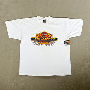 F- Vintage '01 Harley Davidson Flames Graphic & Logo Tee