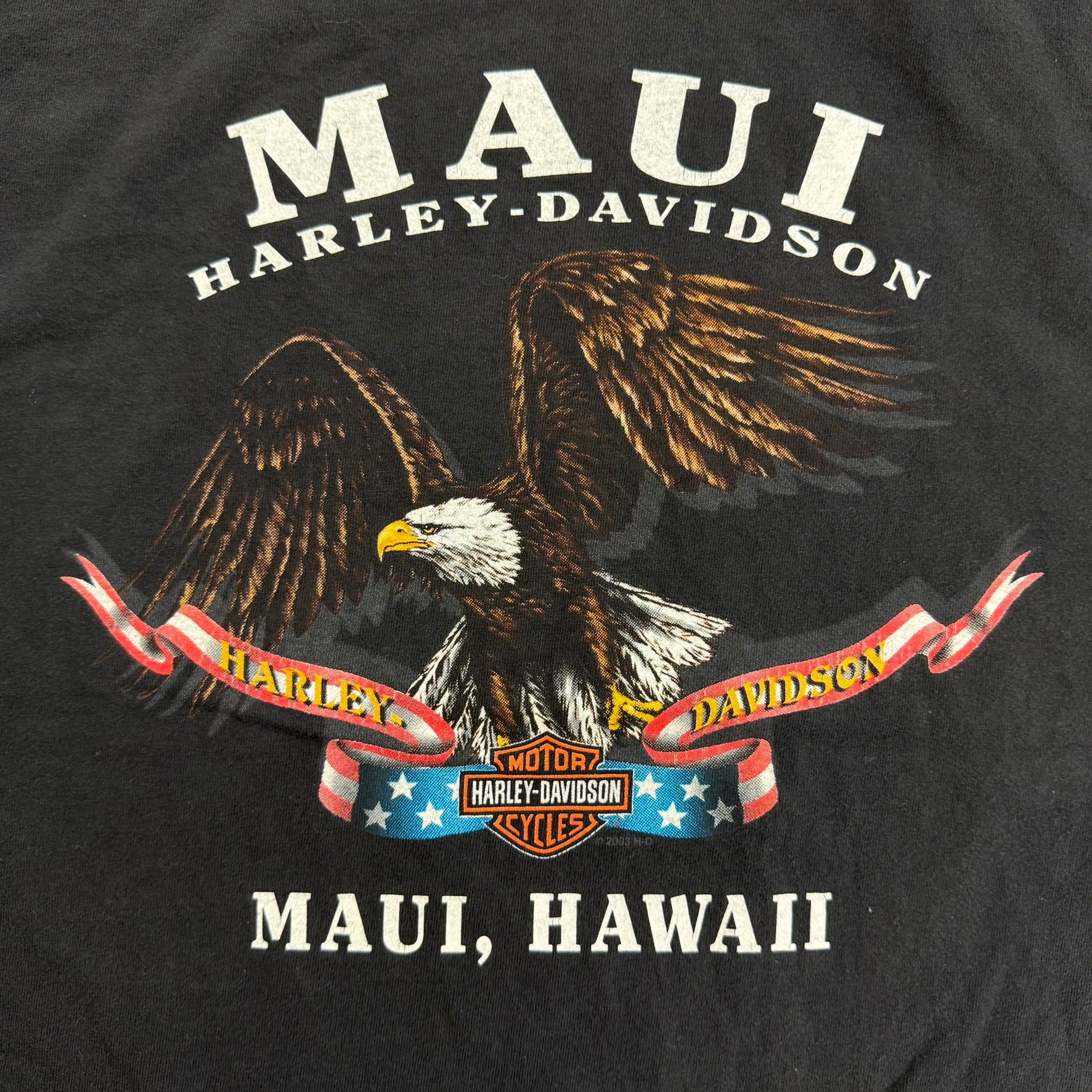 J- Vintage '03 Harley Davidson Maui Hawaii Graphic Tee - XL