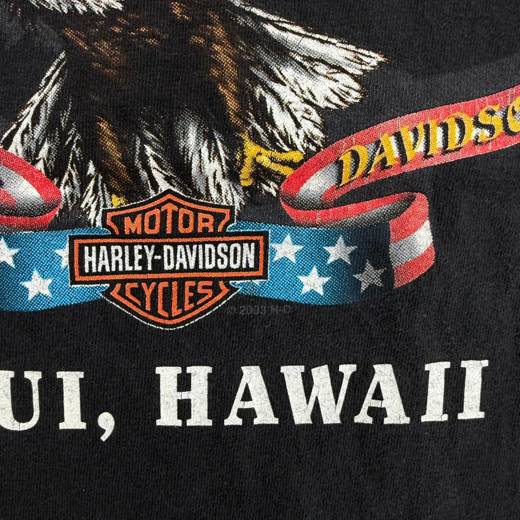 J- Vintage '03 Harley Davidson Maui Hawaii Graphic Tee - XL