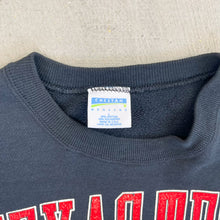 Load image into Gallery viewer, F- Vintage Texas Tech University Red Raiders Text &amp; Logo Crewneck
