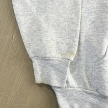 Load image into Gallery viewer, F- Vintage &#39;95 Looney Tune Tweedy Bird USA Graphic Hoodie
