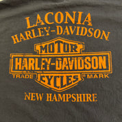 J- '14 Harley Davidson New Hampshire Eagle Graphic Long Sleeve Tee - 3XL