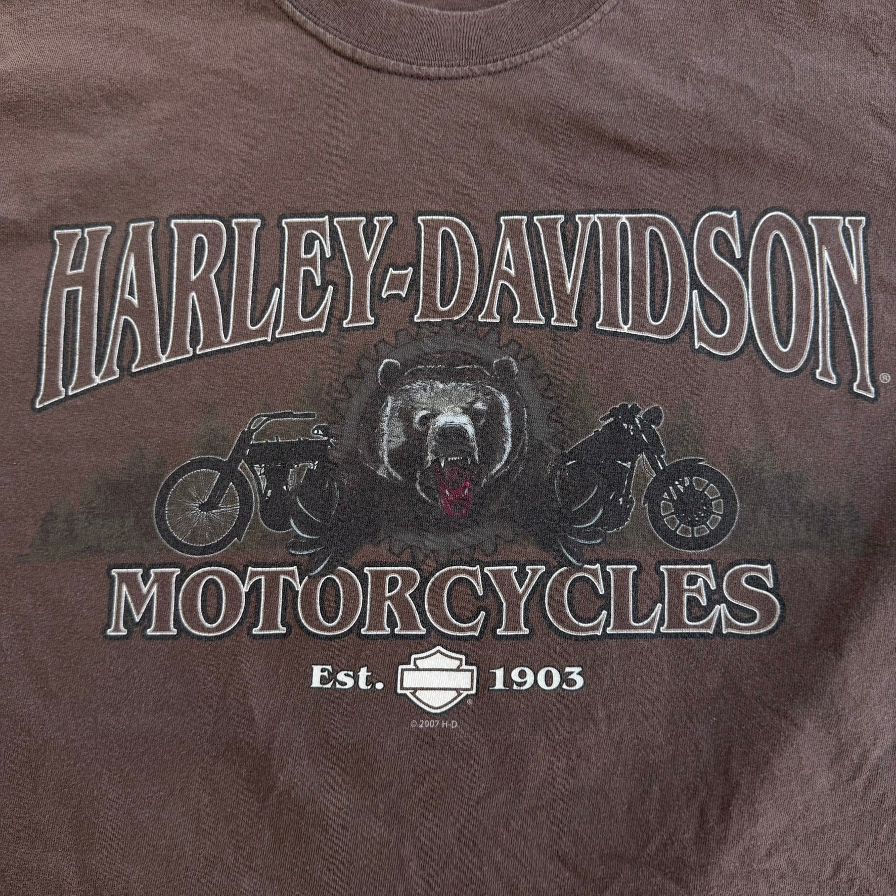 J- Vintage '07 Harley Davidson Bozeman Montana Graphic Tee - L