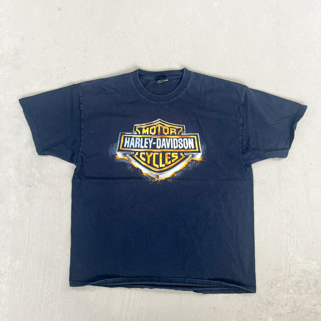 F- 2011 Harley Davidson Arizona Graphic Tee