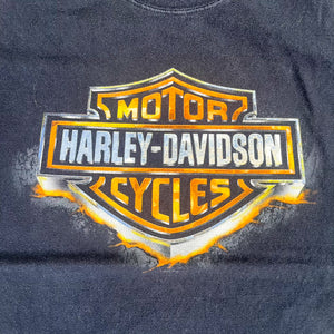 F- 2011 Harley Davidson Arizona Graphic Tee