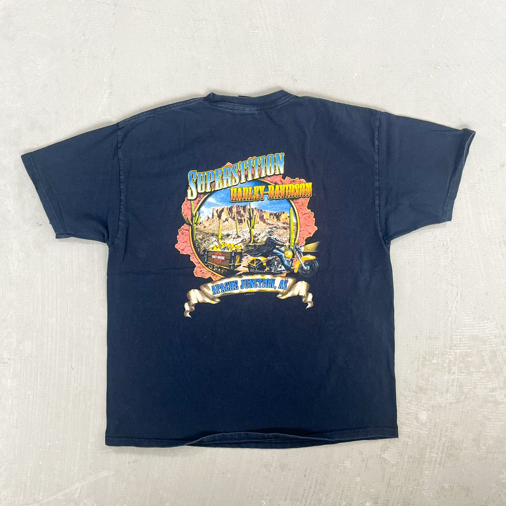F- 2011 Harley Davidson Arizona Graphic Tee