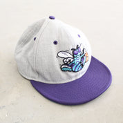 F- Vintage Charlotte Hornets NBA New Era Old Logo Snapback Hat