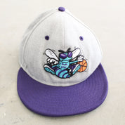 F- Vintage Charlotte Hornets NBA New Era Old Logo Snapback Hat