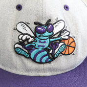 F- Vintage Charlotte Hornets NBA New Era Old Logo Snapback Hat