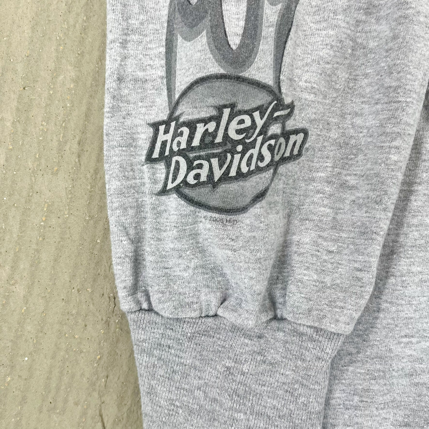 F- Vintage '06 Harley Davidson Piegon Forge TN Long Sleeve Tee