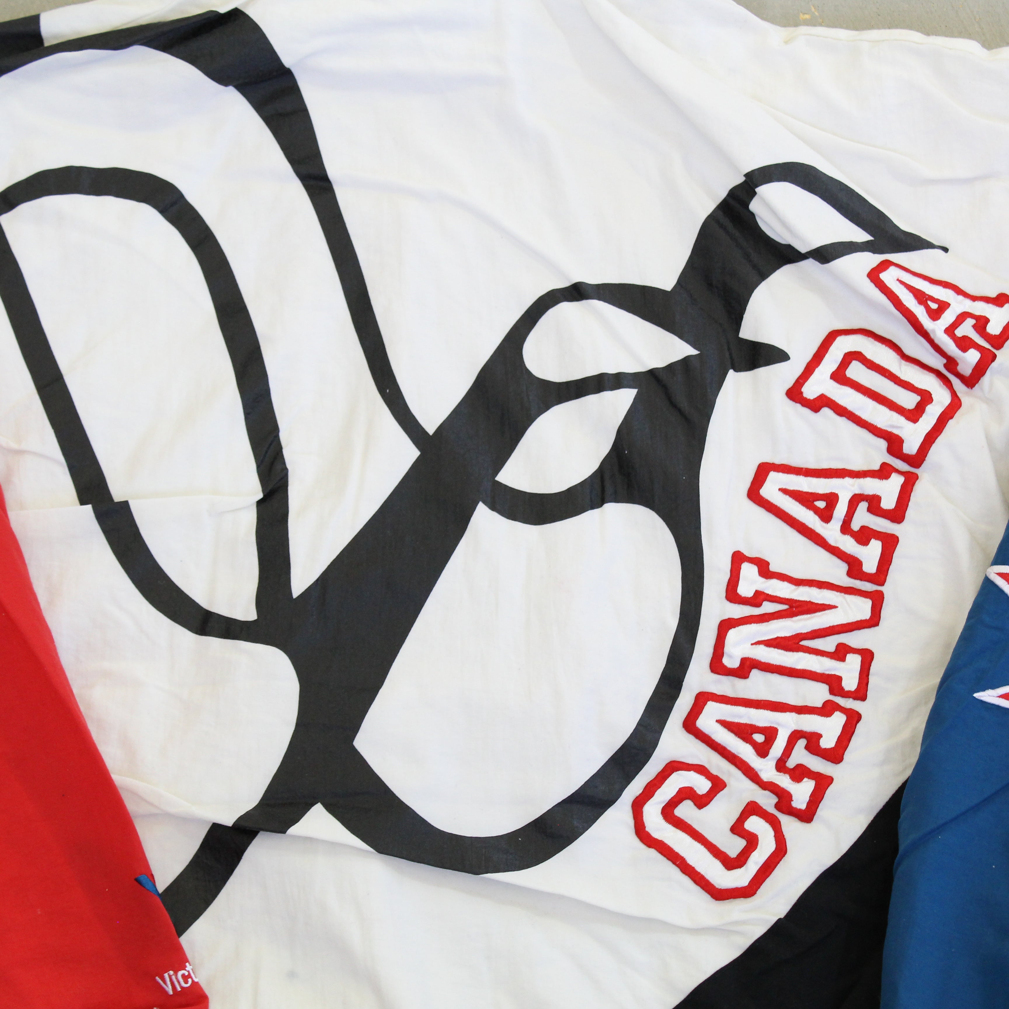 F- Vintage Reebok Canadian Geese Zip Up Windbreaker Jacket