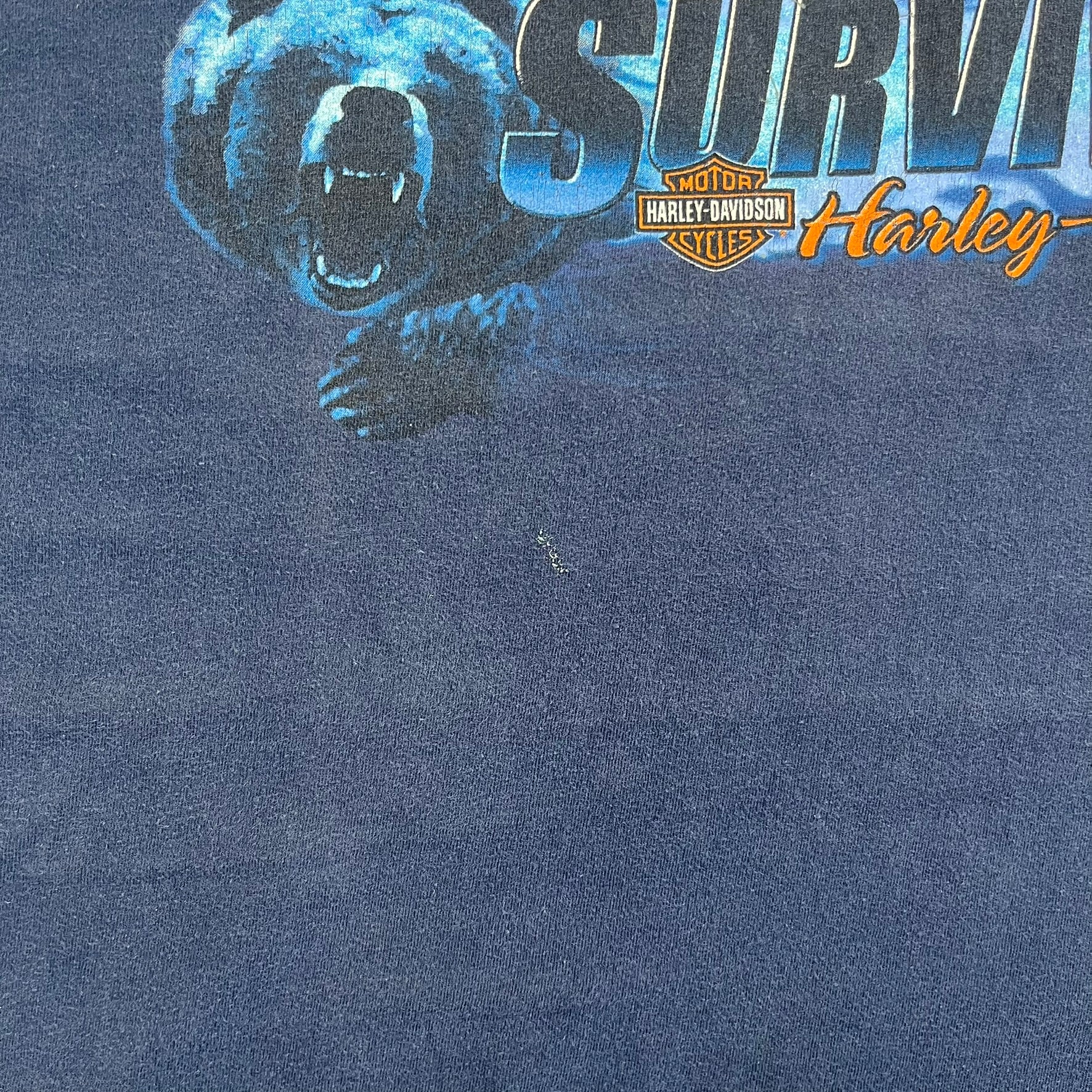F- Vintage '02 Harley Davidson Gettysburg Pa Survivor Tee