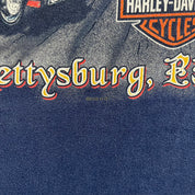 F- Vintage '02 Harley Davidson Gettysburg Pa Survivor Tee