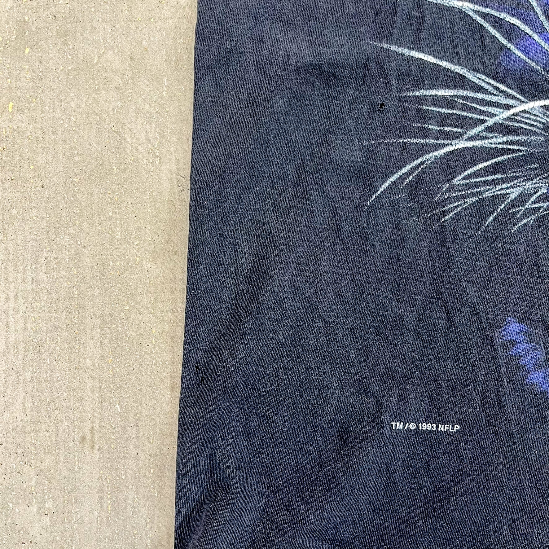 F- Vintage '93 Carolina Panthers NFL Salem Graphic Single Stitch Tee