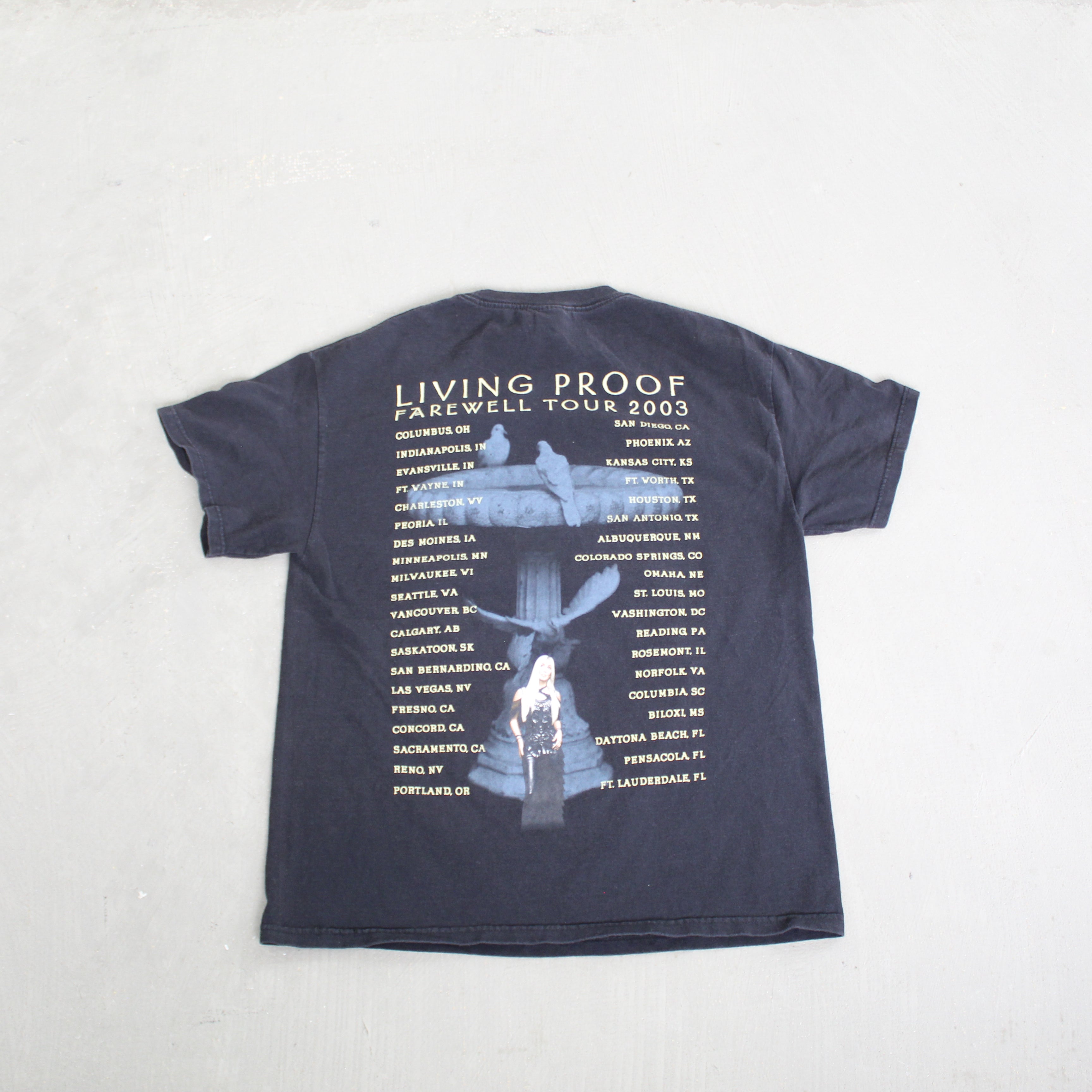 F- Vintage 2003 Cher Living Proof Farewell Tour Picture Tee