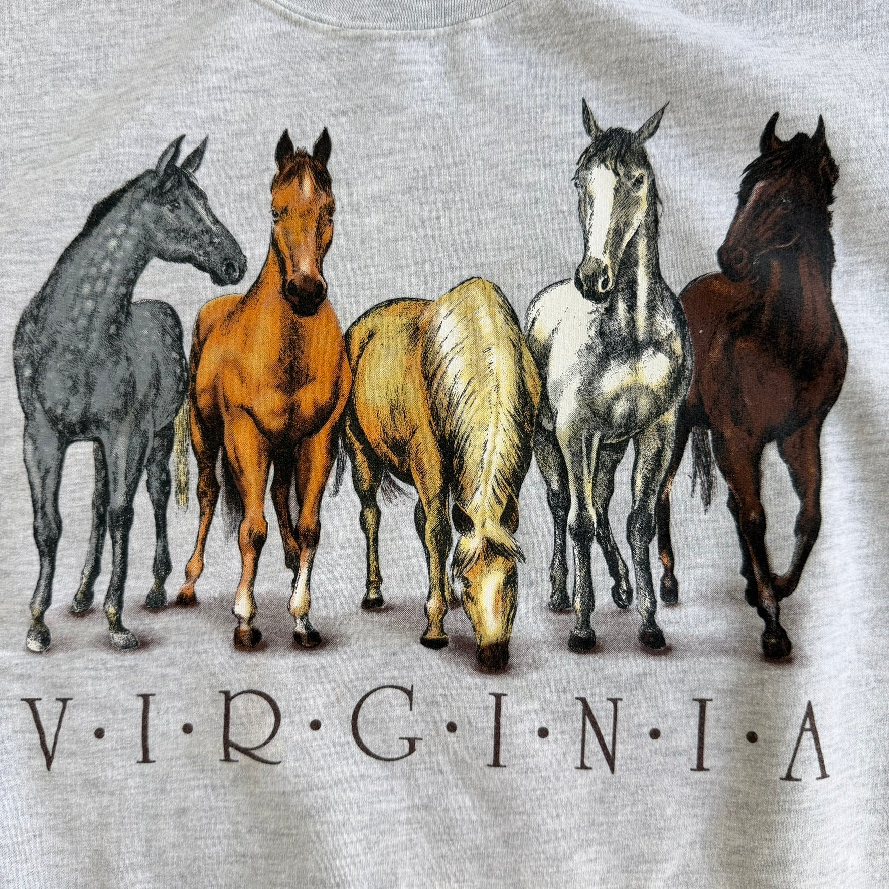 J- Vintage Virginia Horses Graphic Animal Print Crewneck - L