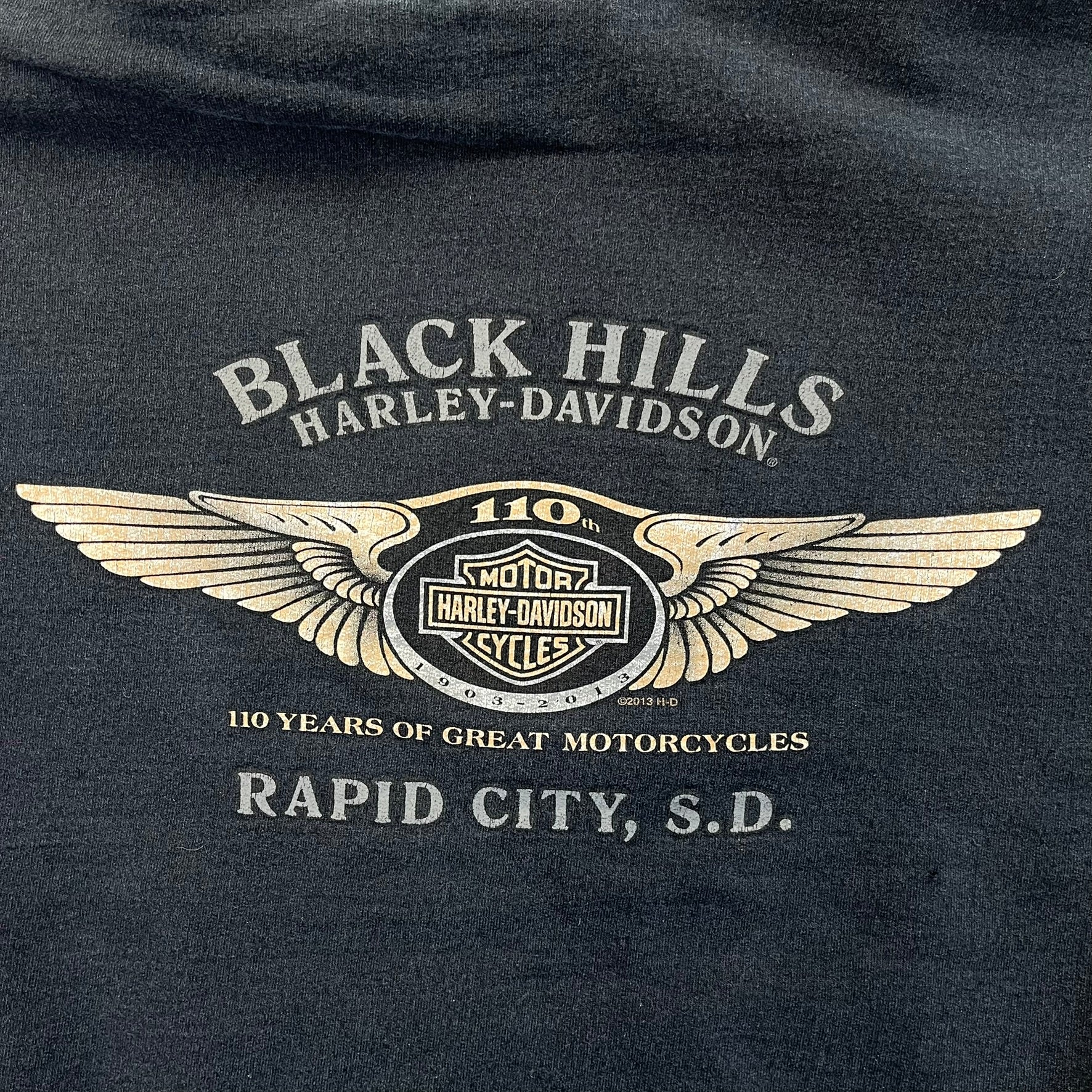 F- '13 Harley Davidson Rapid City Graphic Hoodie