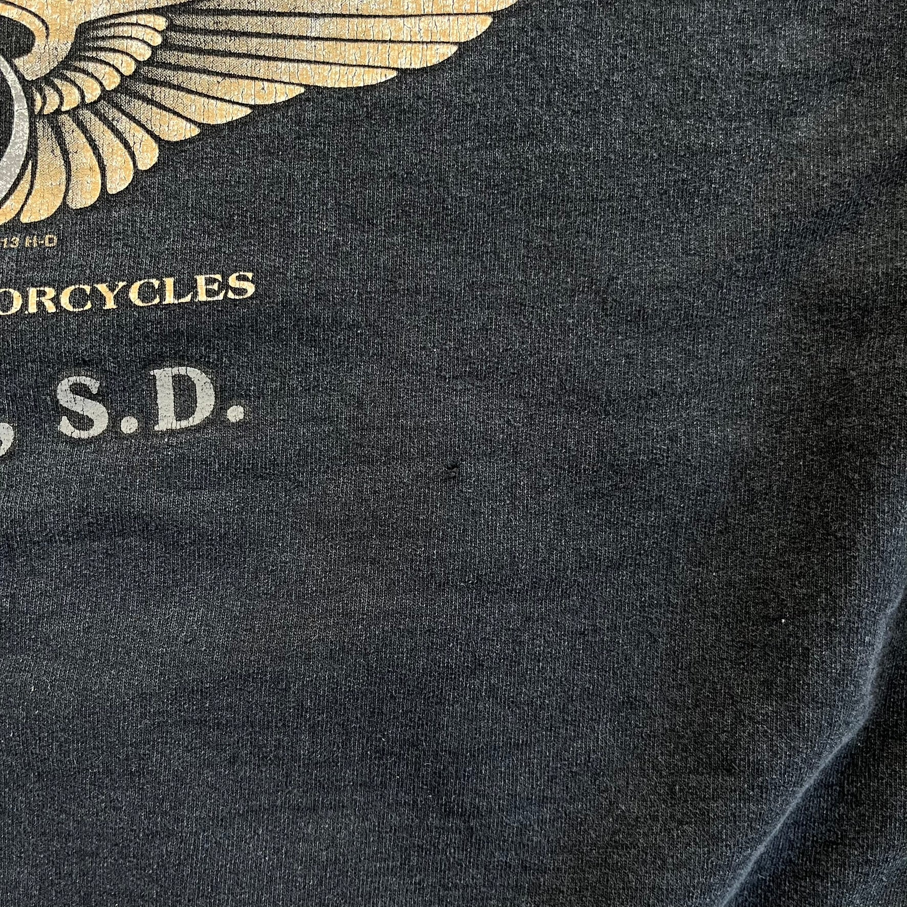 F- '13 Harley Davidson Rapid City Graphic Hoodie