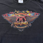 F- '09 Aerosmith Tour Graphic & Picture Tee