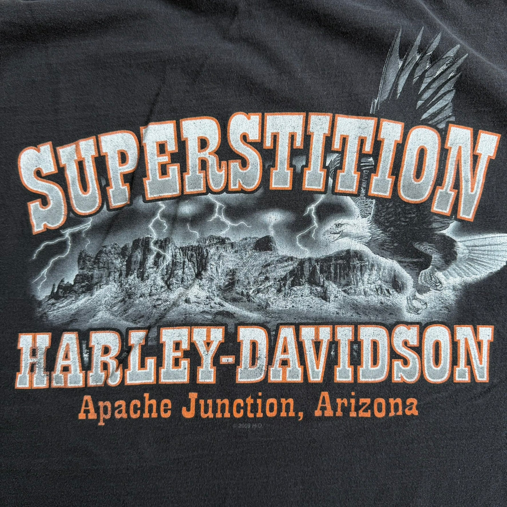 J- Vintage '12 Harley Davidson Apache Junction Arizona Graphic Tee - L