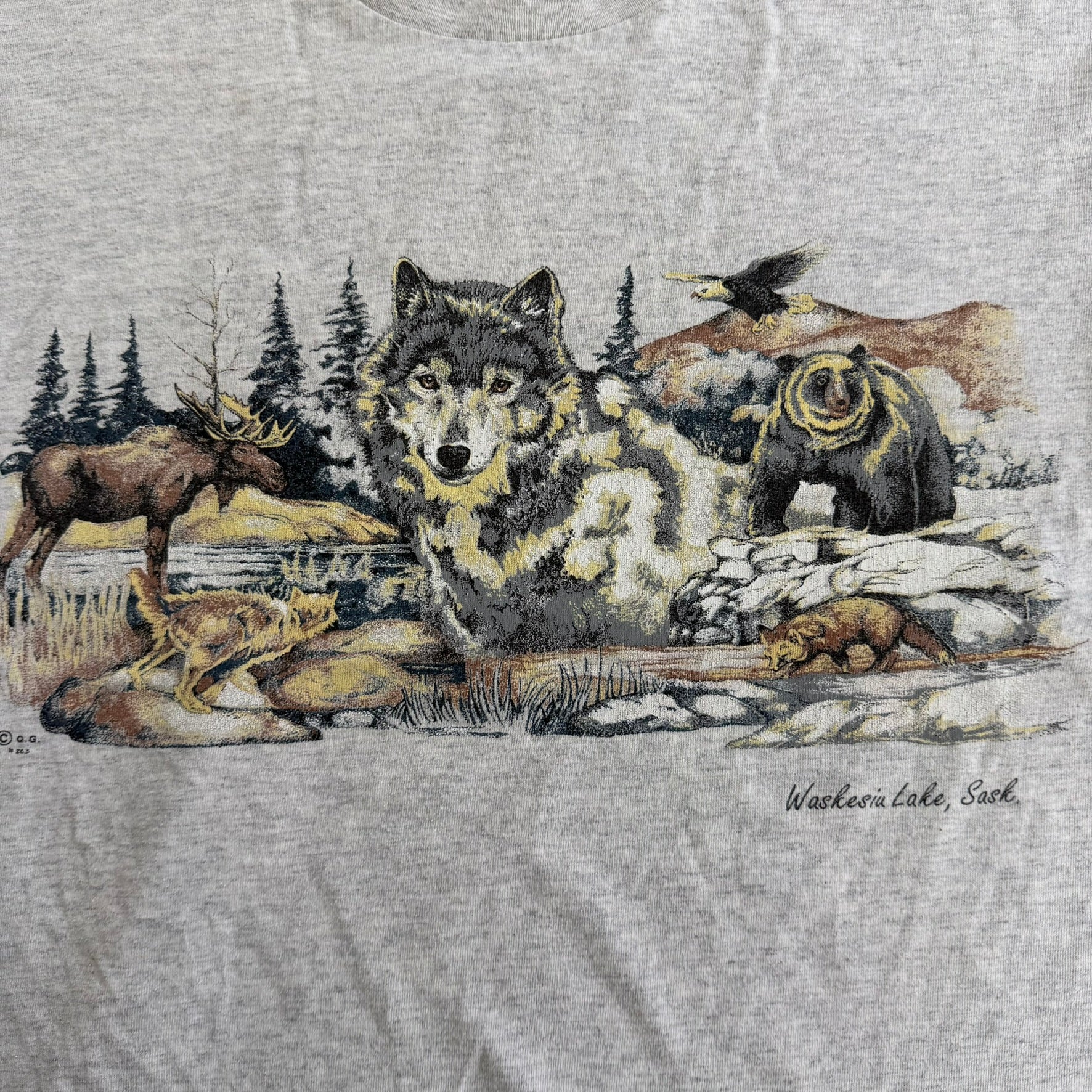 J- Vintage Waskesia Lake Saskatchewan Wildlife Graphic Tee - L