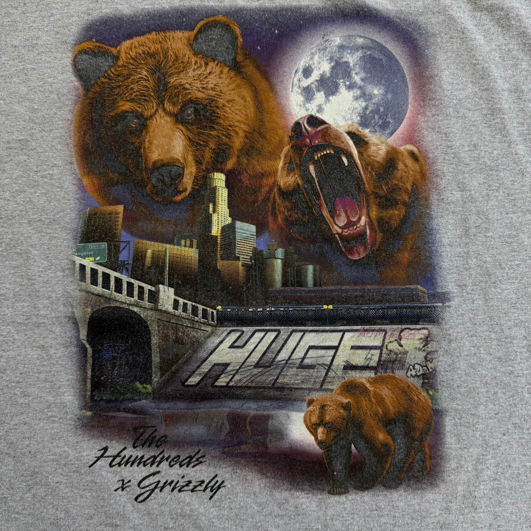 J- Vintage The Hundreds X Grizzly Graphic Tee - XL