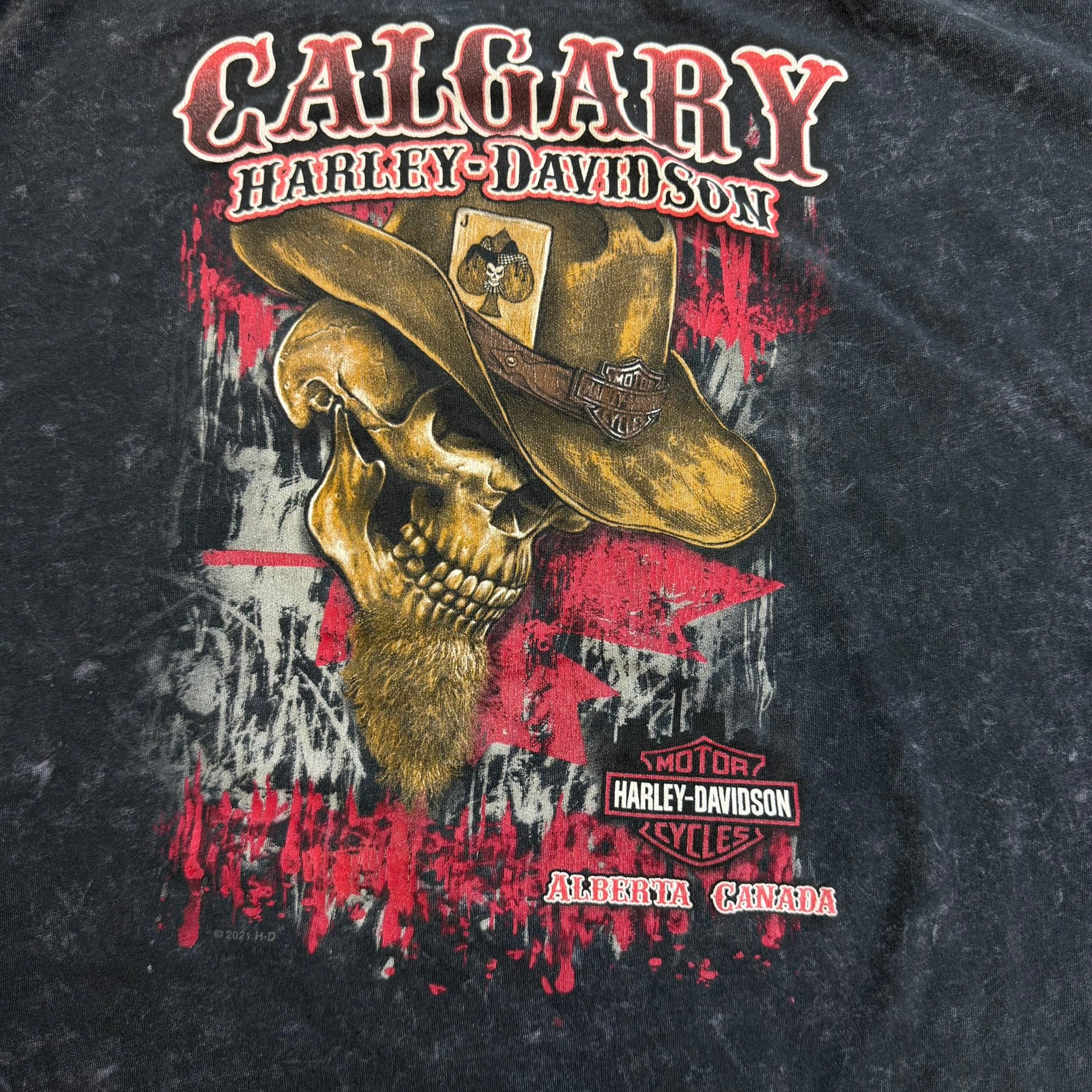 J- '22 Harley Davidson Calgary Alberta Skull Graphic Tee - 3XL