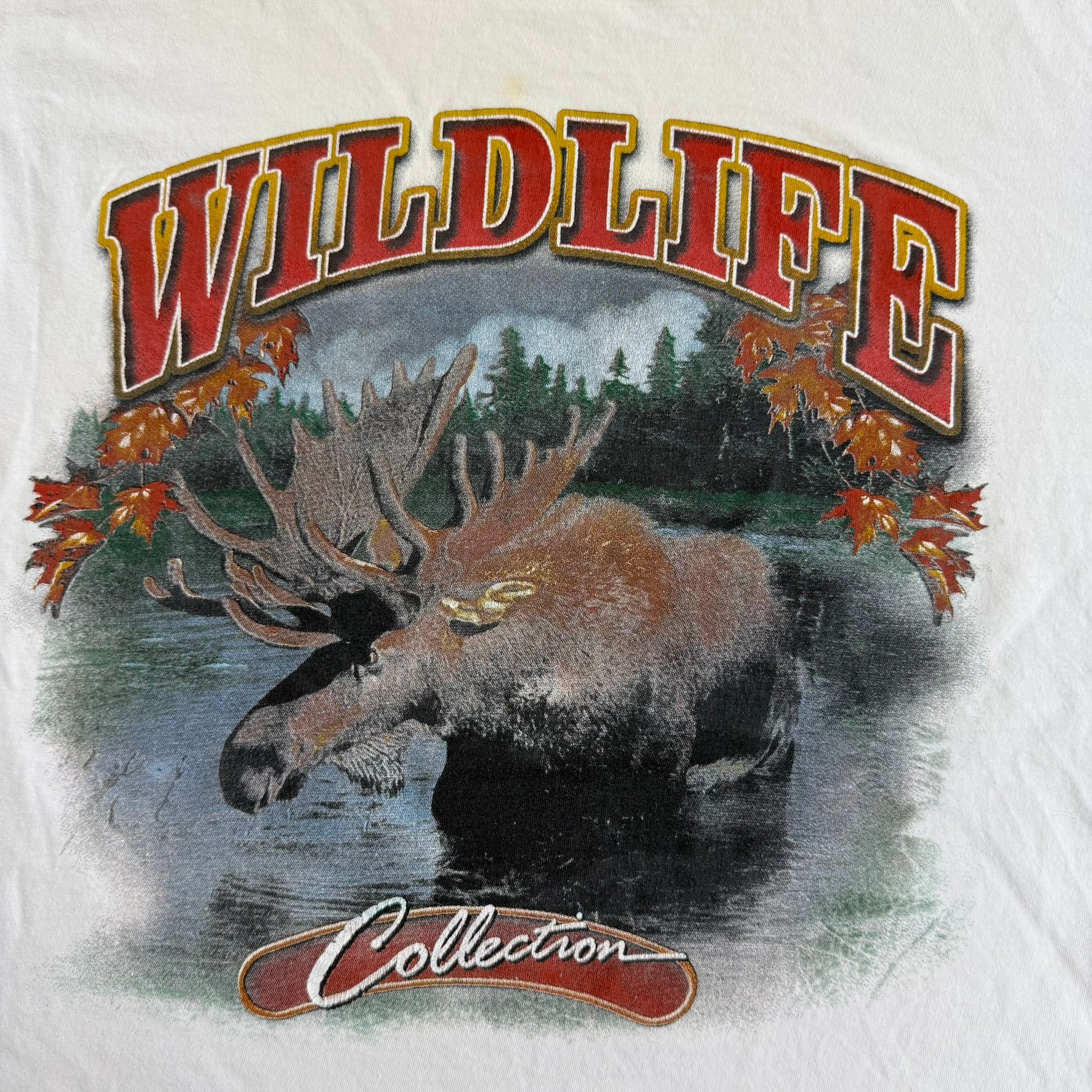J- Vintage Toboggan Wildlife Collection Moose Graphic Tee - M