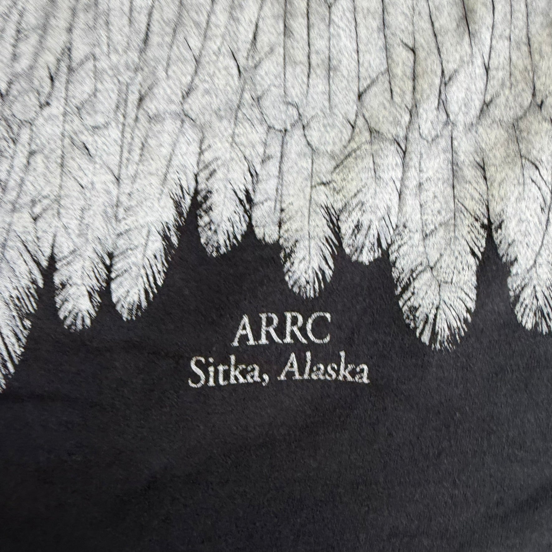 J- Vintage Sitka Alaska I Am Smiling Eagle Graphic Single Stitch Tee - XL