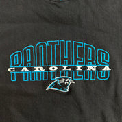 J- Vintage Carolina Panthers NFL Starter Embroidered Logo Crewneck - 2XL