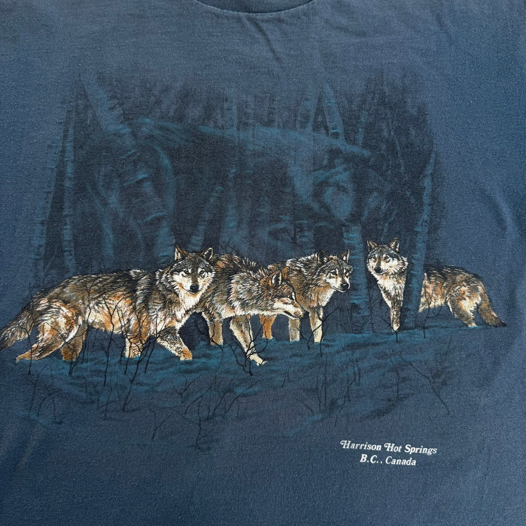 J- Vintage Harrison Hot Springs BC Wolves Graphic Single Stitch Tee - M