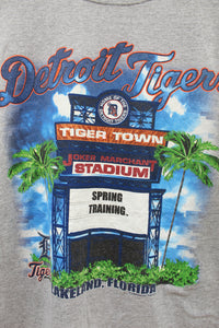 Z - 2007 MLB Detroit Lions Spring Training Stadium Graphic Tee