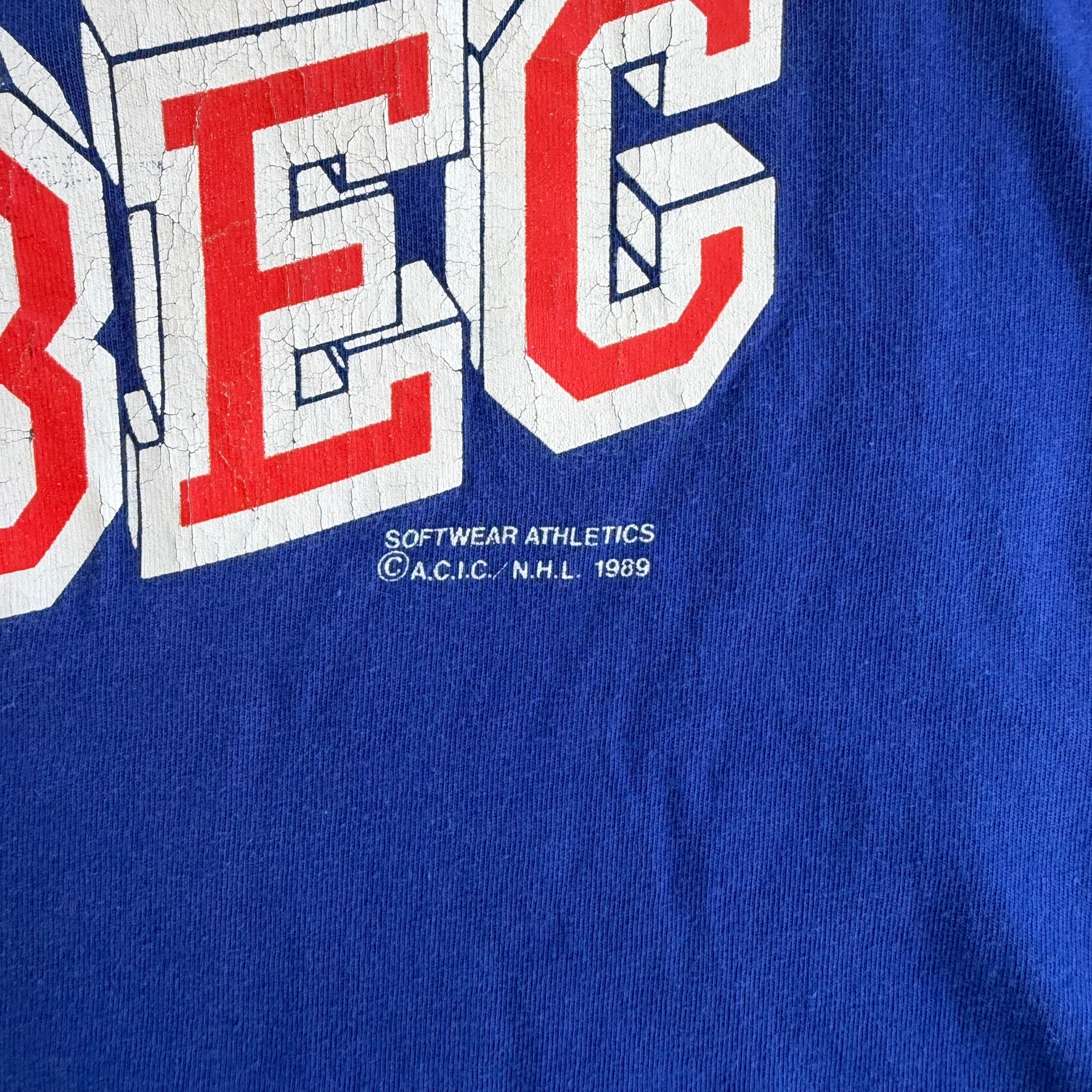 J- Vintage '89 Quebec Nordiques NHL Logo & Text Graphic Single Stitch Tee - M