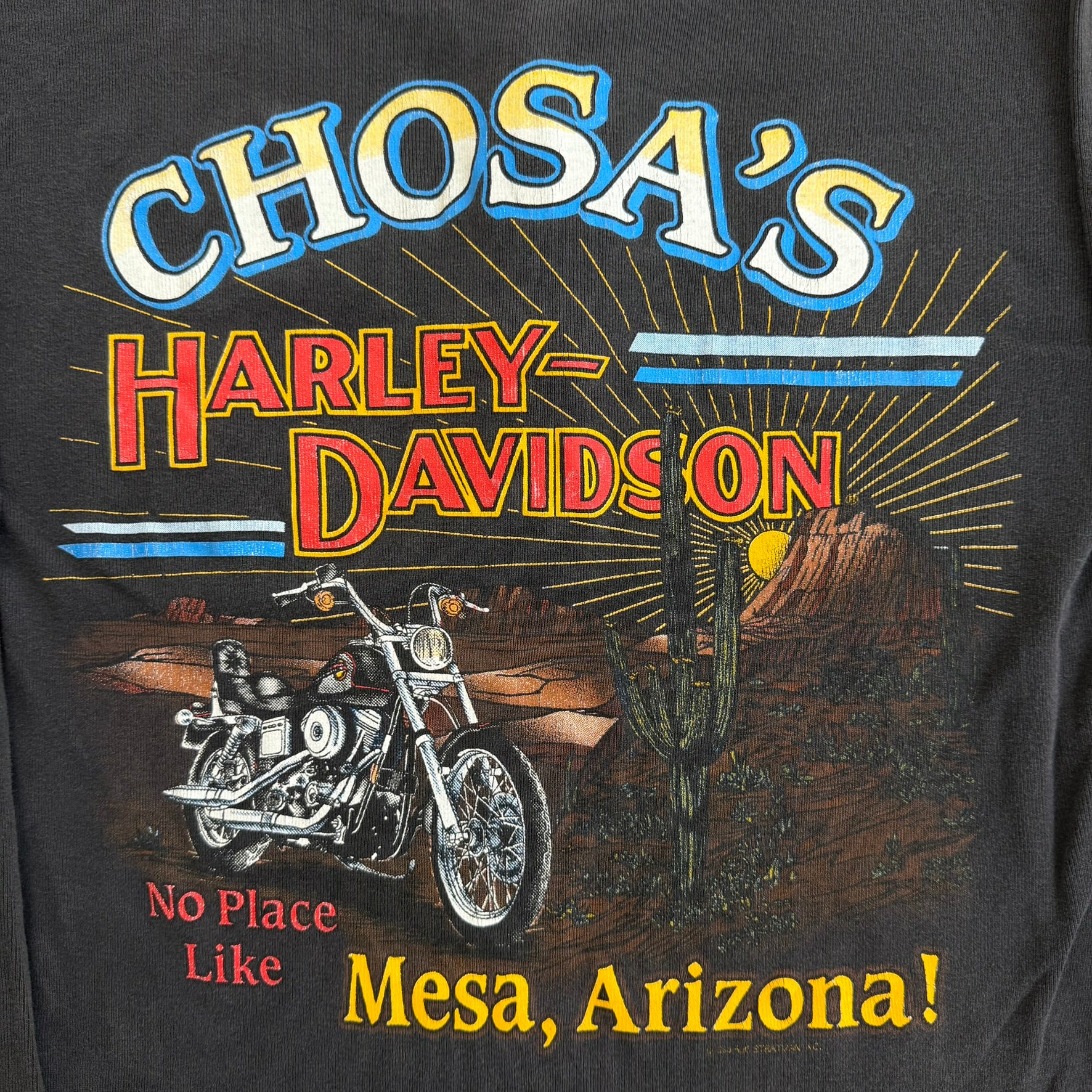 J- Vintage Harley Davidson Mesa Arizona Graphic Made In USA Henley Long Sleeve Under Shirt - L
