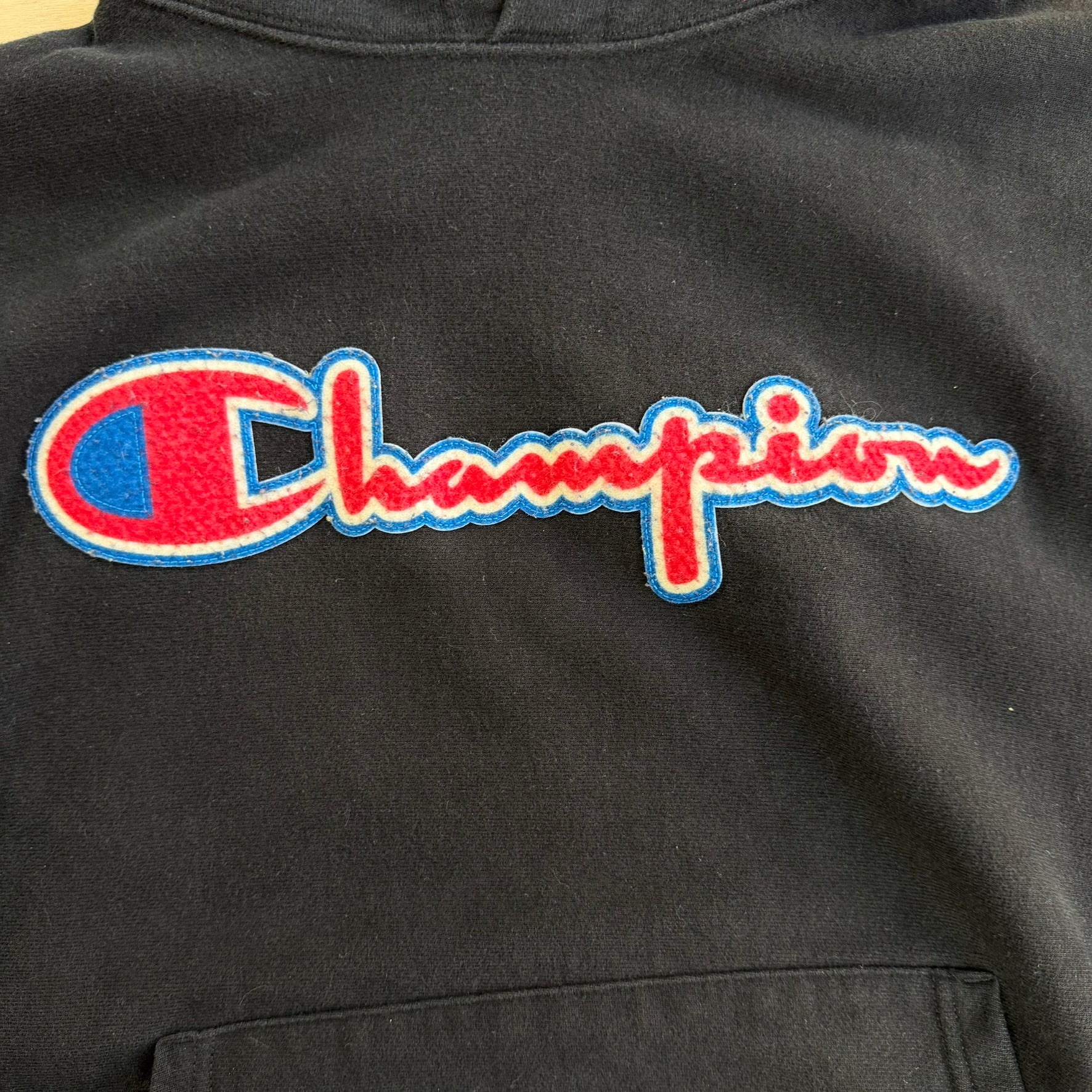 J- Vintage Champion Reverse Weave Chenille Embroidered Text Hoodie - L