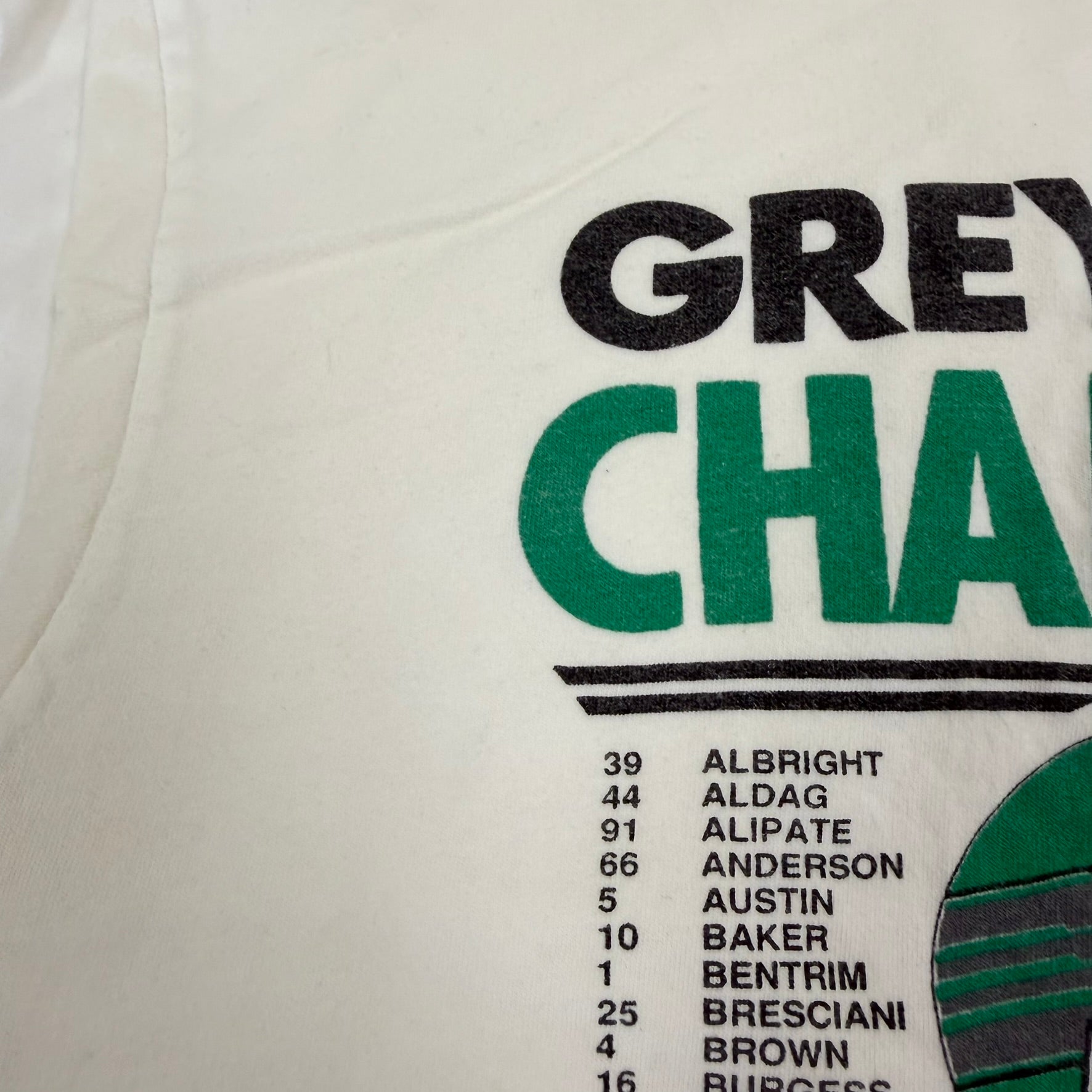 J- Vintage '89 Saskatchewan Roughriders CFL Grey Cup Champions Roster Graphic Single Stitch Tee - L