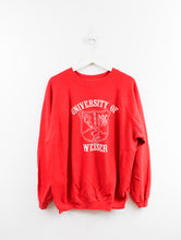 Load image into Gallery viewer, Vintage Hanes University Of Weister Crewneck
