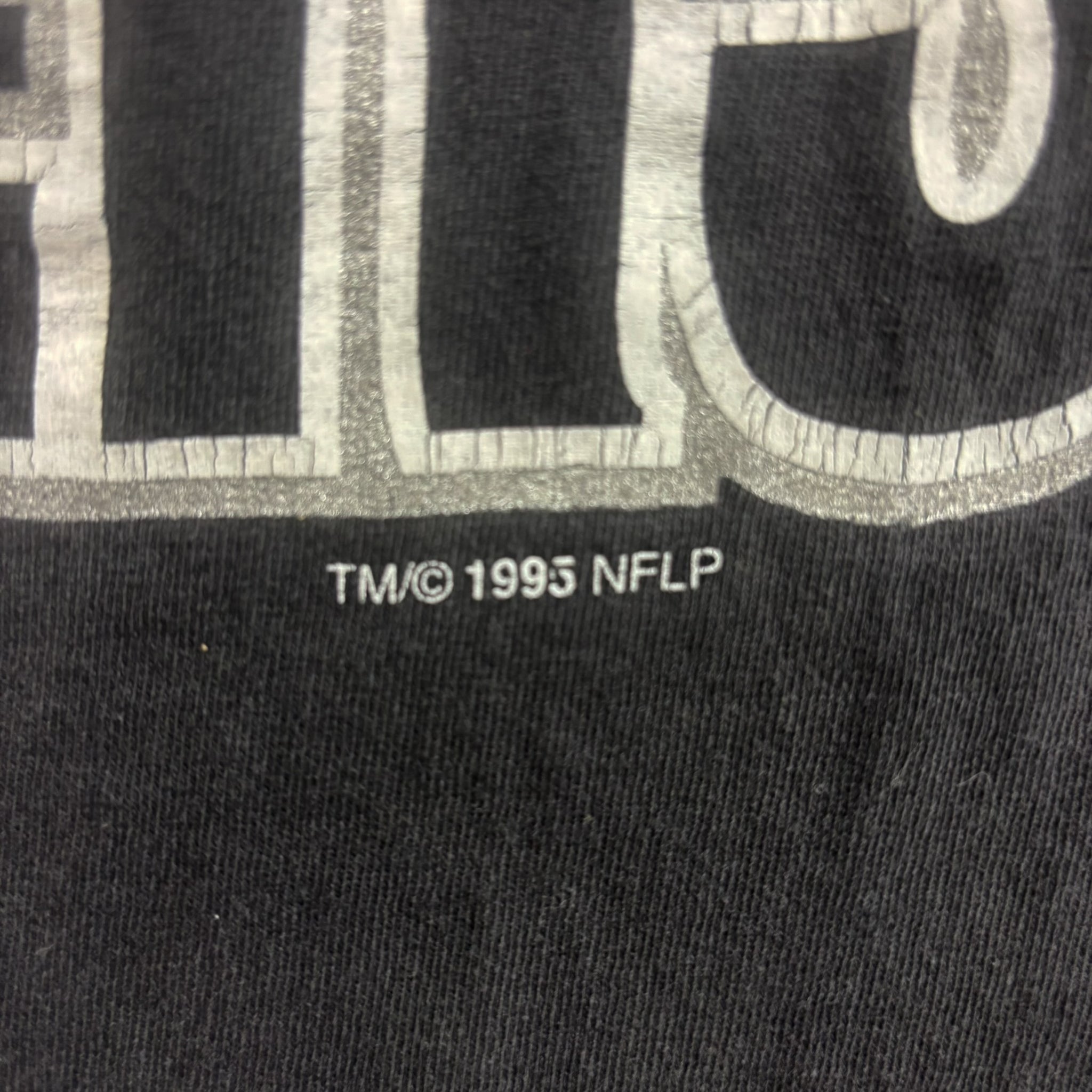 F- Vintage '95 Oakland Raiders NFL Logo & Text Hanes Heavyweight Single Stitch Tee