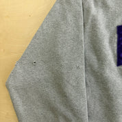 J- Vintage Minnesota Vikings NFL Champion Embroidered Text & Logo Graphic Crewneck - XL