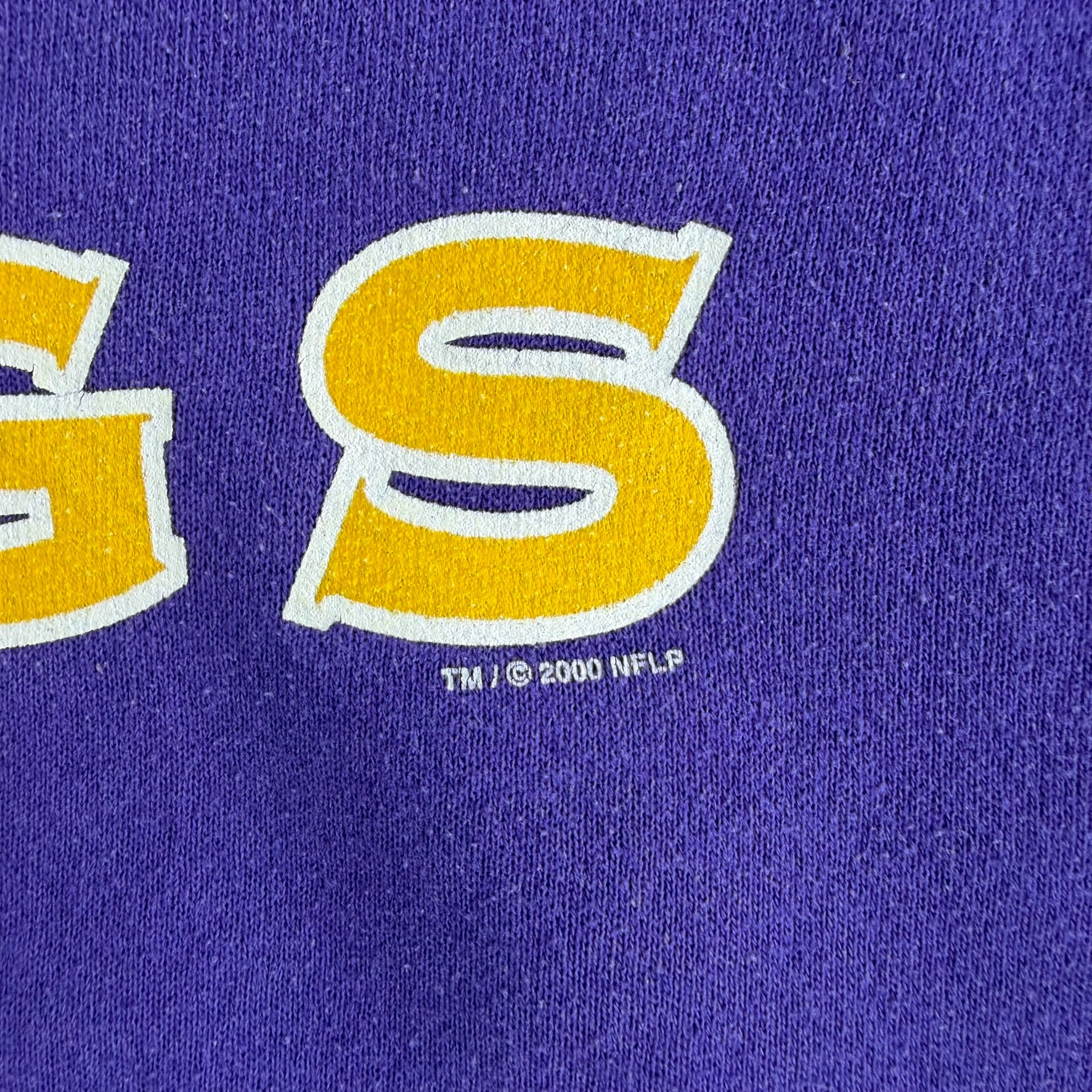 Vintage '00 Minnesota Vikings NFL Lee Text & Logo Crewneck - L