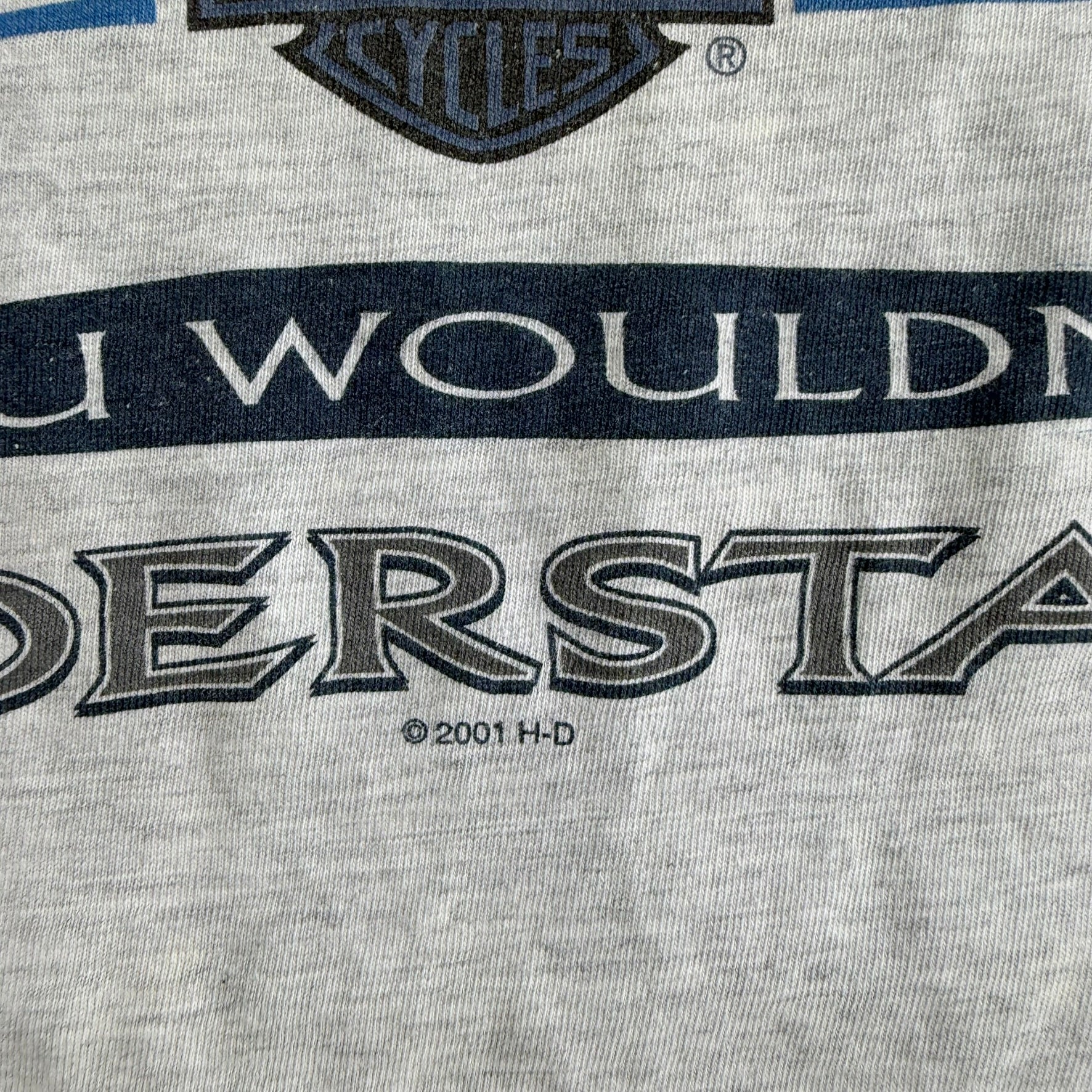 Vintage '01 Harley Davidson Delta BC Canada If I Have To Explain You Wouldn't Understand Text Graphic Made In USA Tee - L