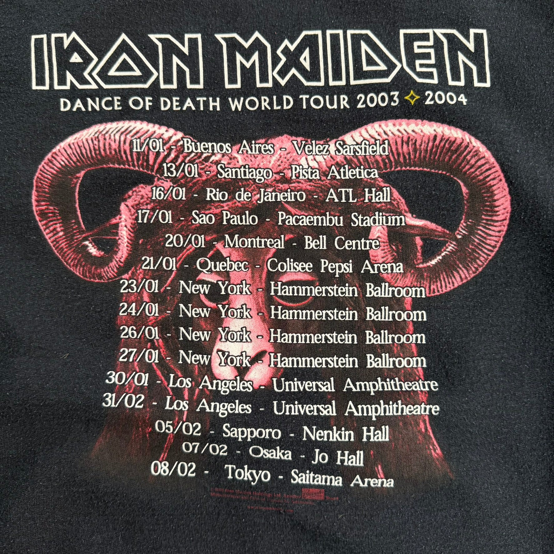 Vintage '03 Iron Maiden Dance Of Death Tour Graphic Artimonde Tag Hoodie - L