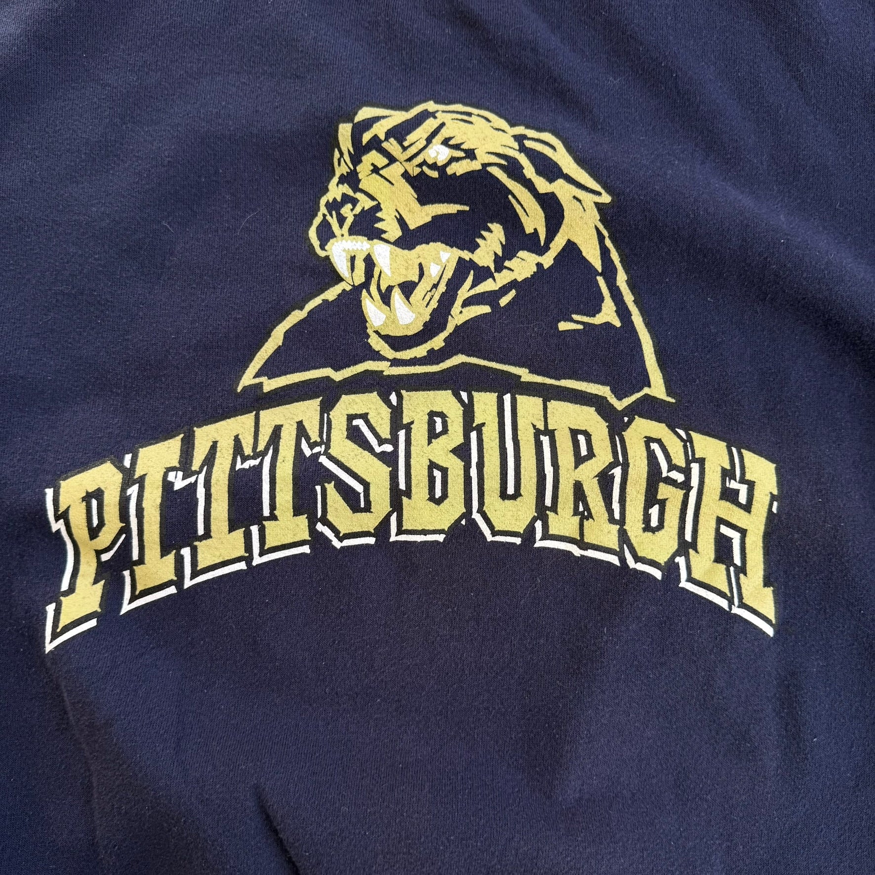 Vintage University Of Pittsburgh Panthers Graphic Crewneck - L