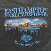J- Vintage '00 Harley Davidson South Hampton Flame Logo & Text Made In USA Long Sleeve Tee - 2XL