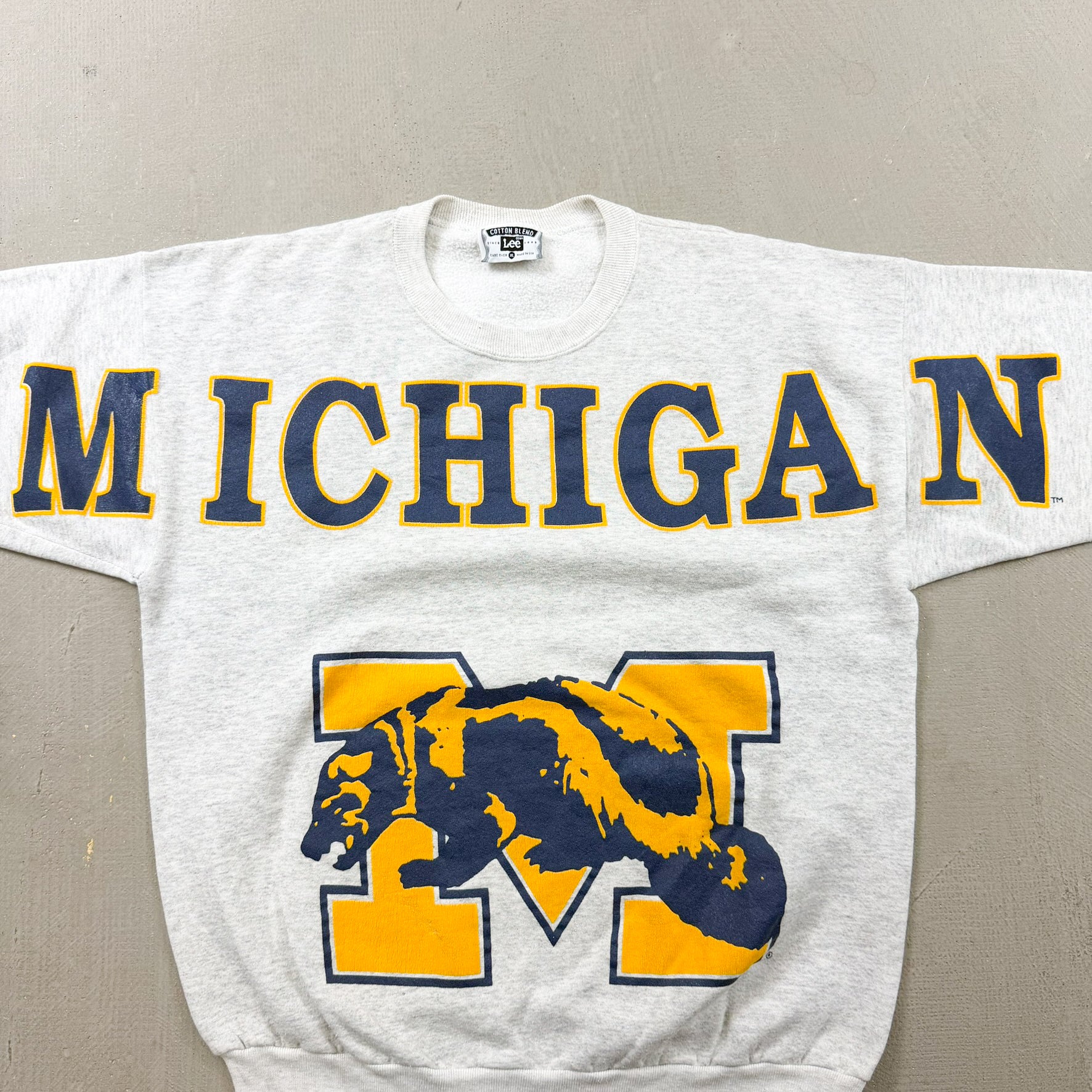 F- Vintage University Of Michigan Wolverines Made In USA Text & Logo Lee Crewneck