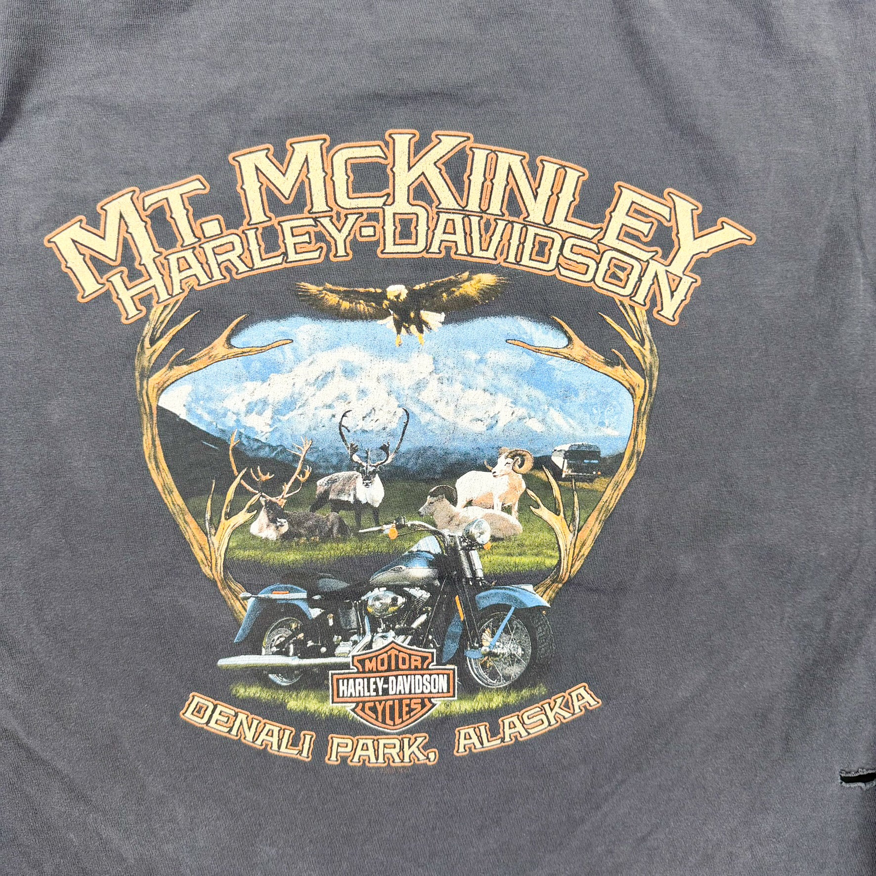 F- Harley Davidson Denali Park Alaska Graphic Long Sleeve Tee