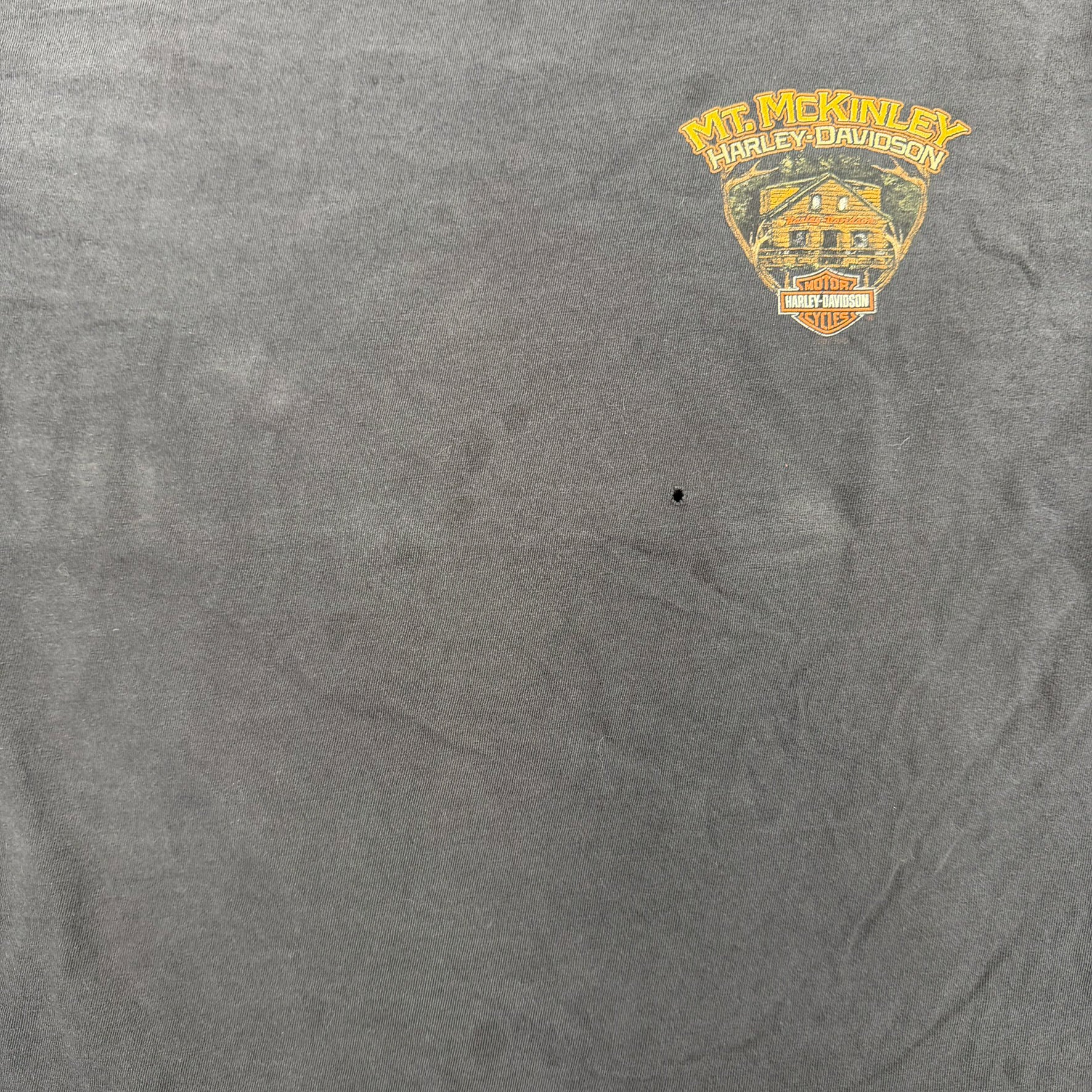 F- Harley Davidson Denali Park Alaska Graphic Long Sleeve Tee
